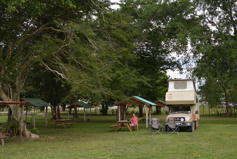 Yellow-Green Vireo Campsite, Crooked Tree/Belize