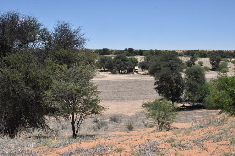 Einsamer Stellplatz in der Kalahari Game Lodge