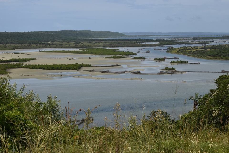 Mündungsgebiet des Kosi River 